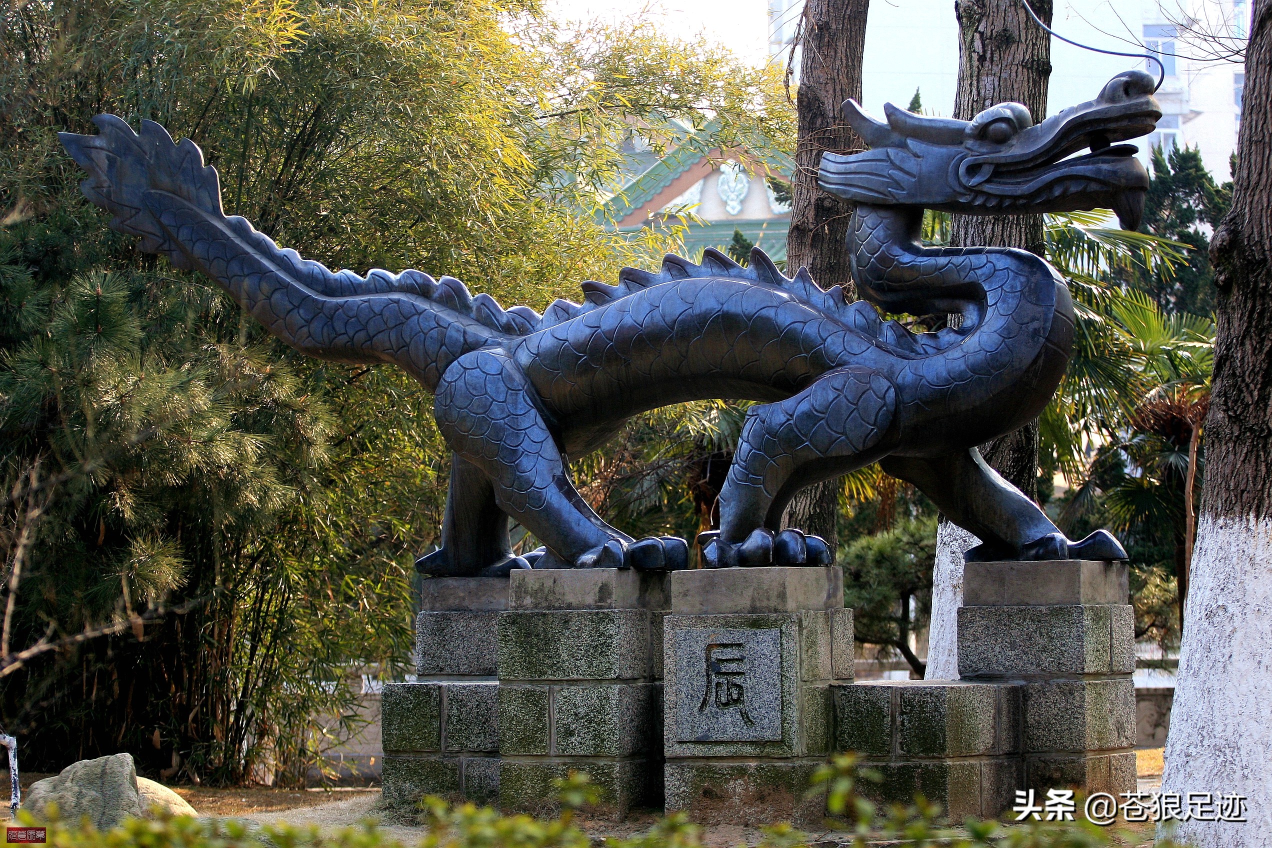 滕王阁在哪个城市哪个省哪个县，滕王阁地址图片介绍