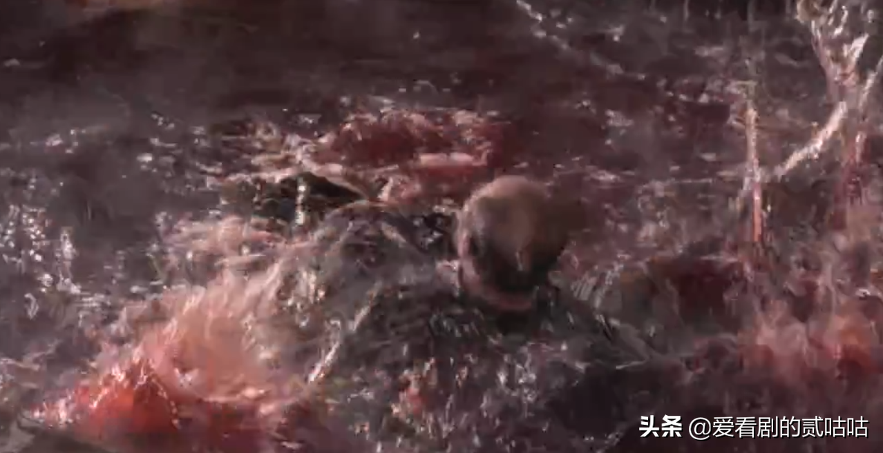 优秀伦理电影推荐（七）：巩俐&张艺谋早期电影，国内封禁21年