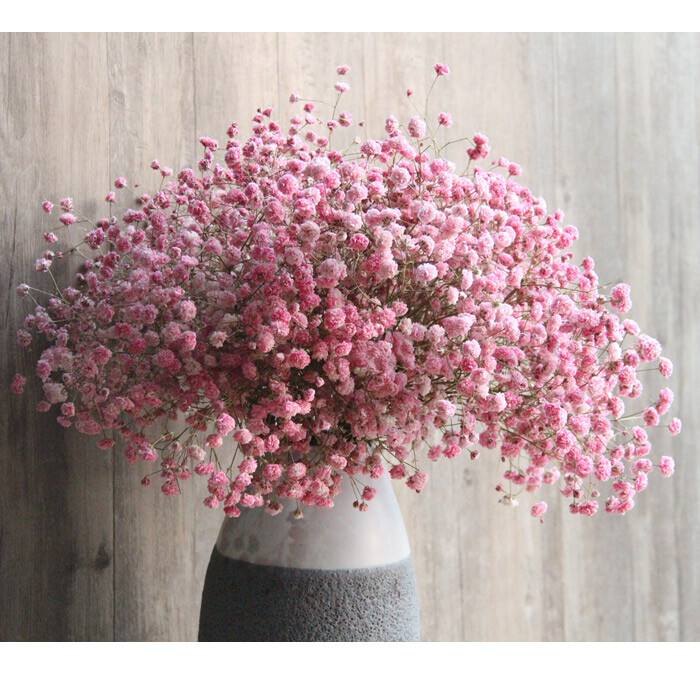 送棉花花束什么意思（32种鲜切花对应的花语）