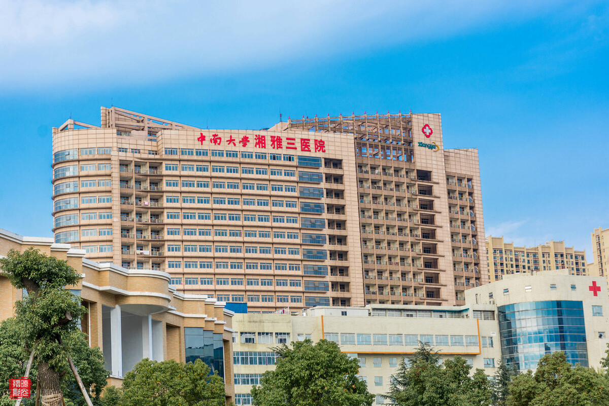 2022中南大学录取推免生2420人，本校生、985高校生源均超过三成