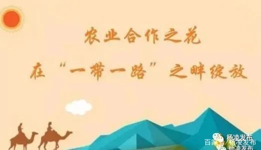 杨凌：打造“农”源经济 推动产城融合