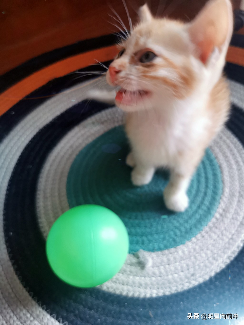 做一名练习生必需具备的条件（4）-家庭经济条件