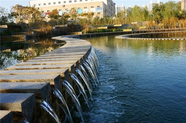 河北师范大学2020招生计划与招生录取快讯