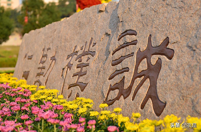 冯春刚，南京农业大学，教授、博导，动物遗传育种专家