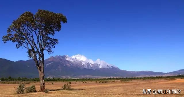 丽江-玩法！门票！住宿！攻略都在这里