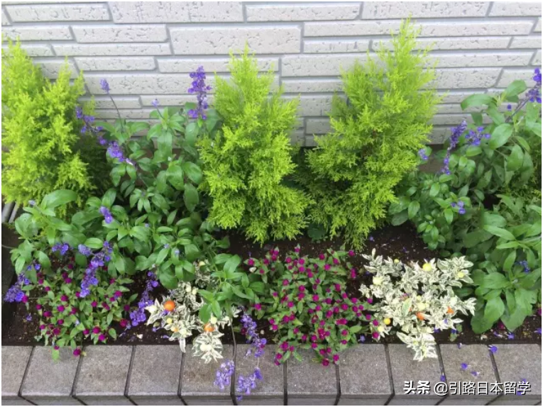 励志，赴日留学，你后悔了吗？