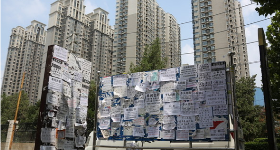 如果时间能重来宁愿一开始就做个物质女人，现实生活中爱情不管饱