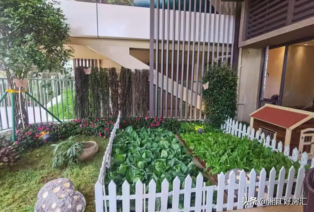 备受争议！把庭院搬进高楼，长沙的首个第四代住宅，就这？