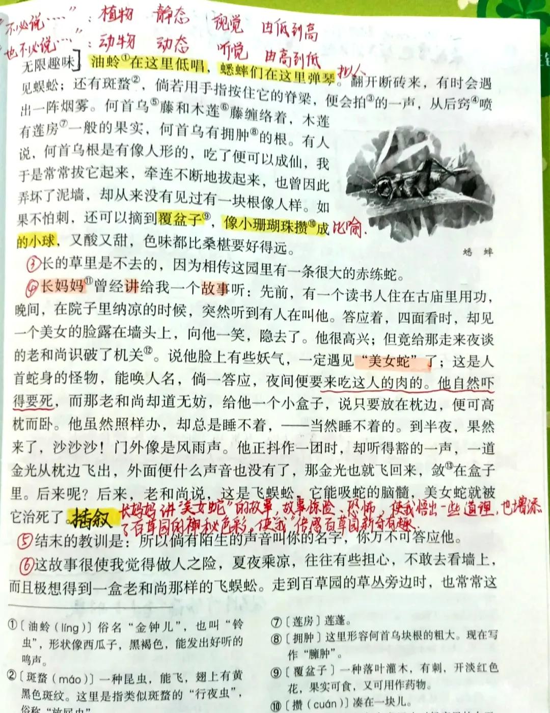 七年级语文上册第九课《从百草园到三味书屋》课文笔记，预习专用