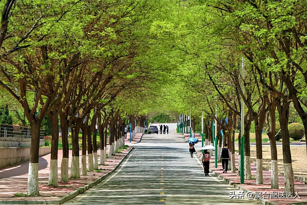 大学生每月生活费不够花，该怎样解决？