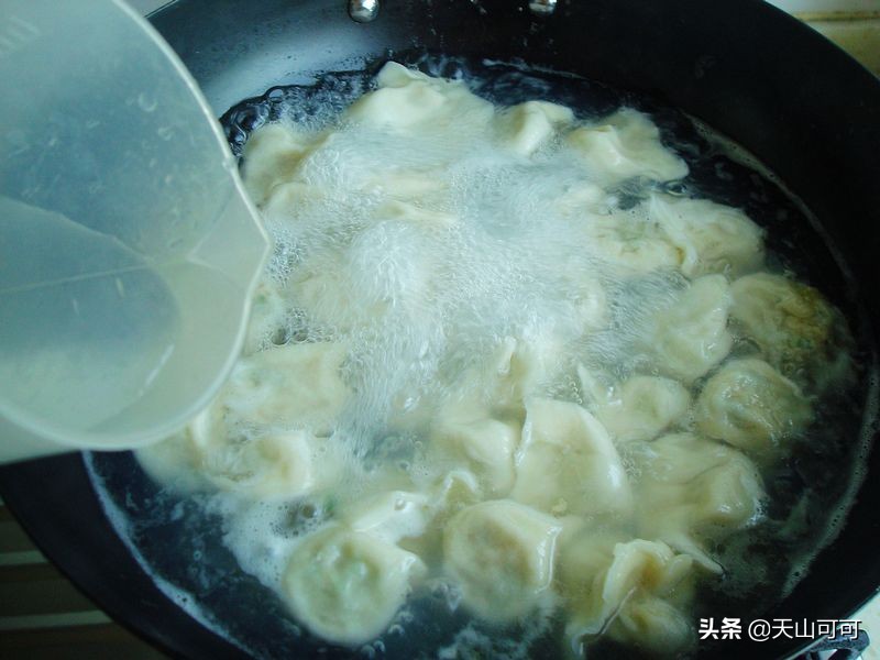 魚肉餃子的做法,魚肉餃子的做法和配方