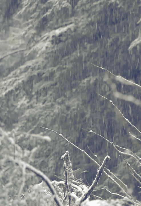 最美的诗意，最美的春雪
