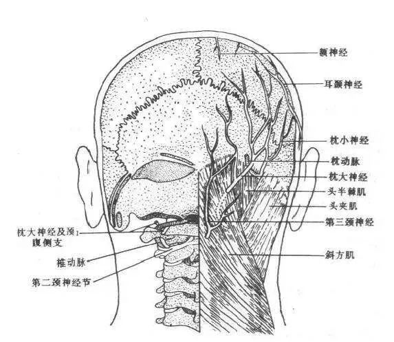 帶你瞭解什麼是