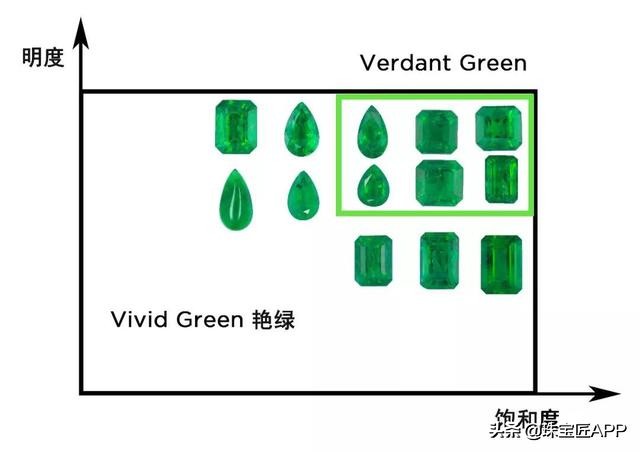 1张证书不到5块钱，拍照就给出？鉴定证书猫腻多，去哪鉴定才靠谱