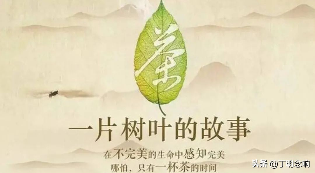 茶亦醉人何须酒，书自香我何须花——喝茶人眼中的绿茶