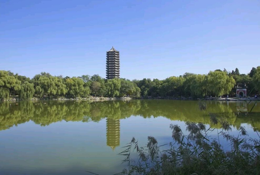 河南700分不能上清华北大？698分就可以！网友：河南考生太难了