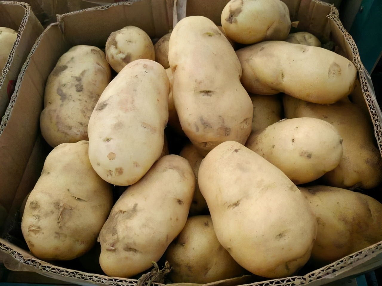 如何保存土豆（保存土豆牢记3个好方法放几个月都仍新鲜）