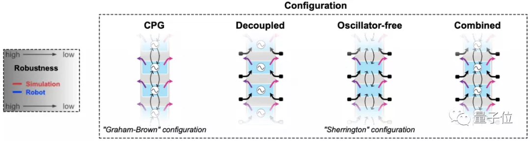 鳗鱼劈断后下半身还能运动，机器人：拿来吧你丨Science子刊封面