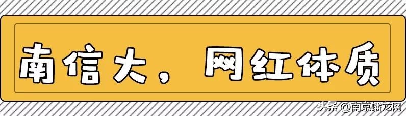 南京信息工程大学，又火了！