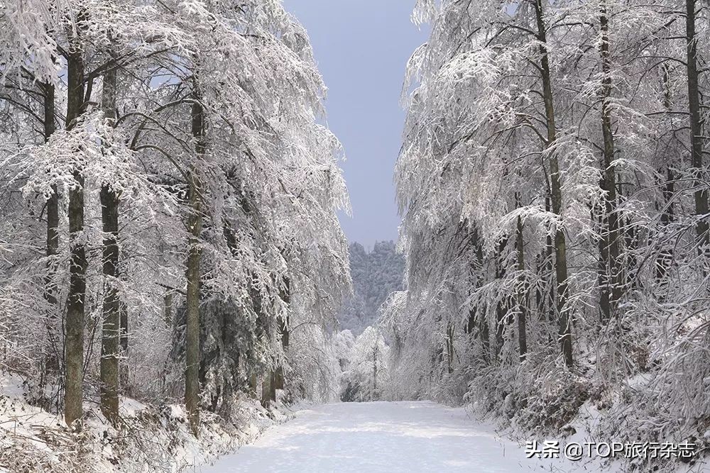 这座湖南小城有着华南地区最大越野赛车基地，真人版“速度与激情”杠杠滴
