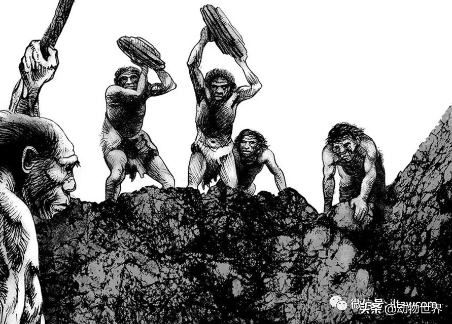 10种曾与人类同行的巨型野兽