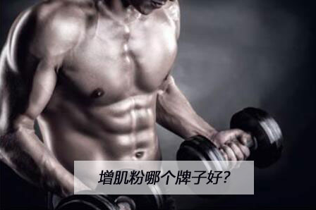 增肌粉買國(guó)產(chǎn)的還是進(jìn)口的？五大品牌排行