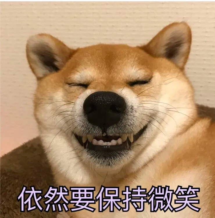 养一只狗,到底要花多少钱?