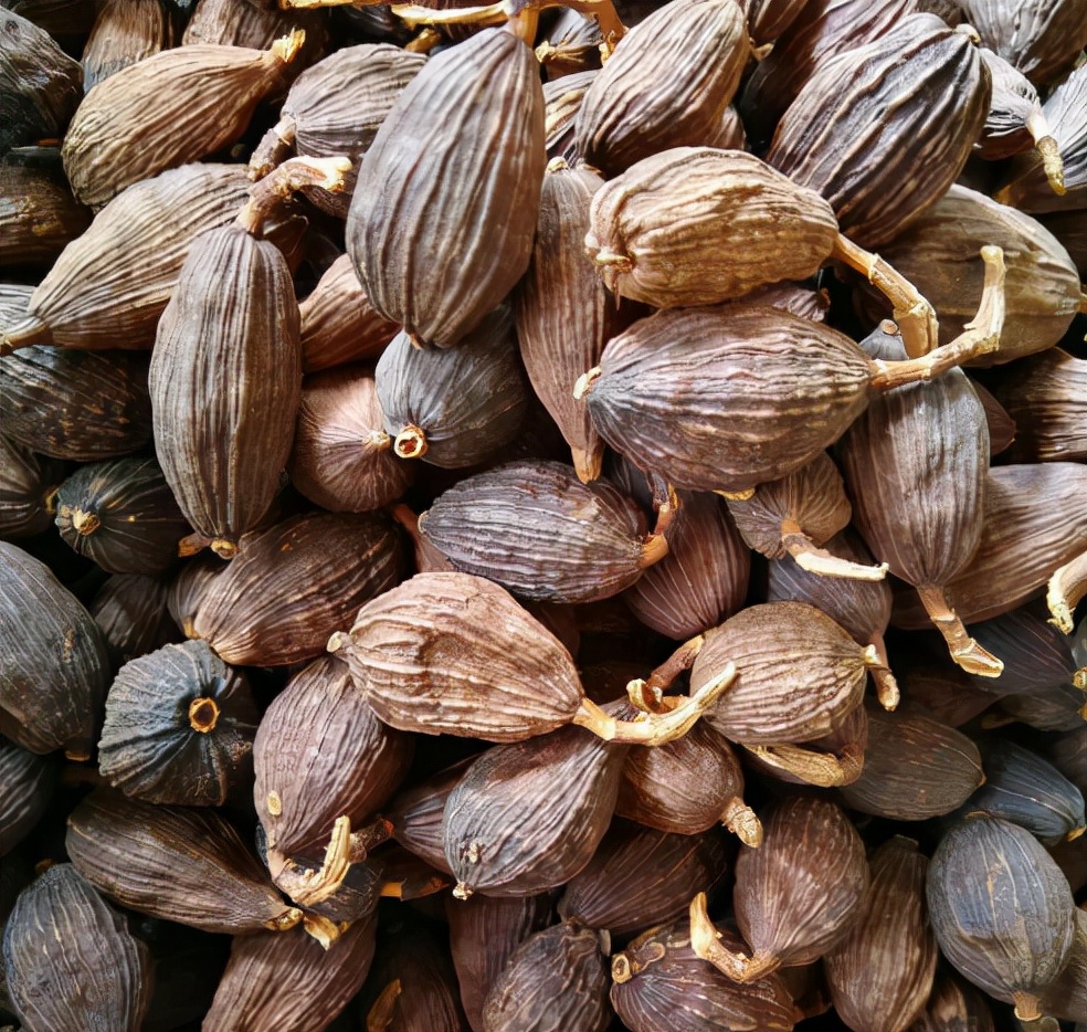 草果：调料界的“背锅侠”，常被误认成罂粟，1斤35元南方才有种