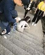 这就是做财务的你…哈哈哈哈哈