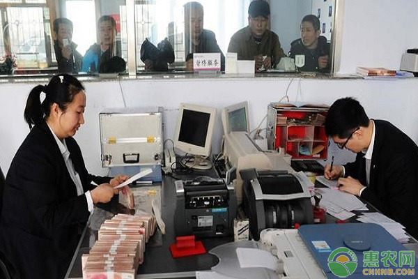 畜牧养殖贷款（2020农村养殖可以申请贷多少钱）