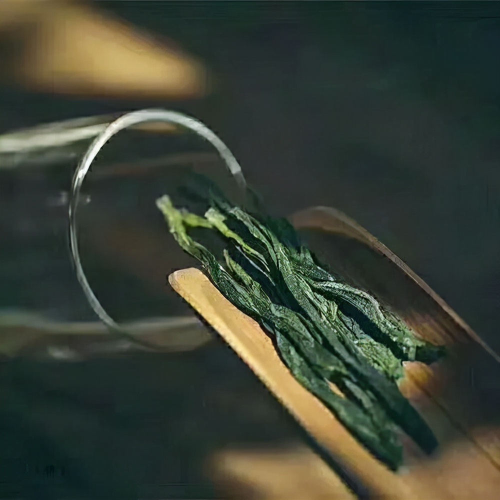 绿茶 | 颠覆传统让人过目不忘的茶——太平猴魁