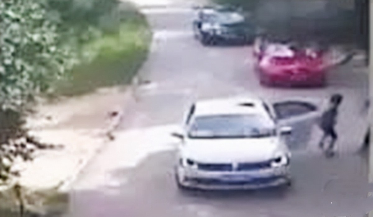 “老虎咬死游客事件”幸存者：至今没有工作，最大心愿是整容