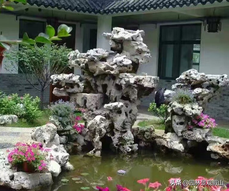为什么庭院鱼池越来越受欢迎？听听设计师们怎么说