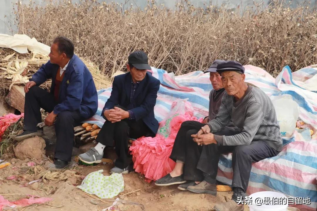 纪实：儿子结婚，我负债15万——一个农村家庭操办婚礼的全程手记