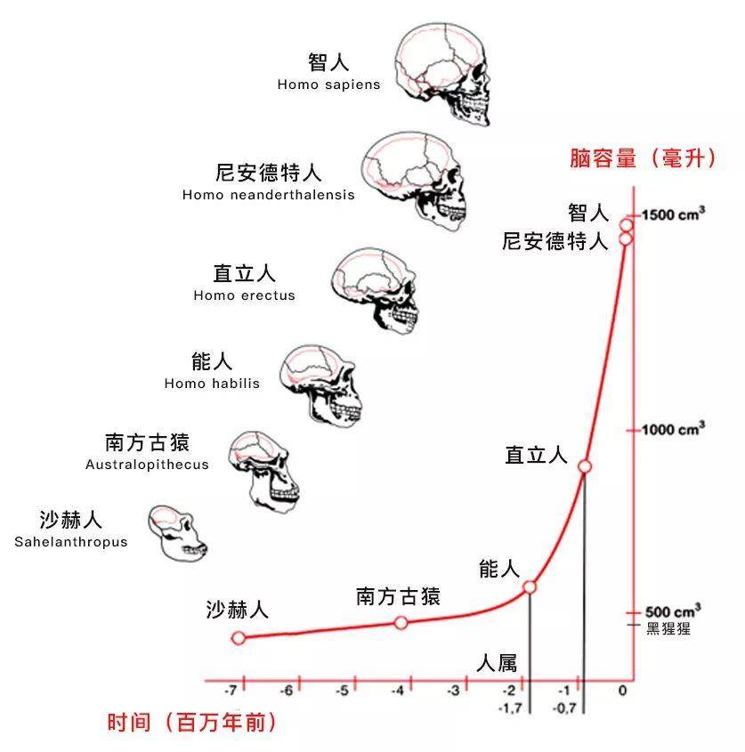 地球没有人的时候第一个人是怎么来的？
