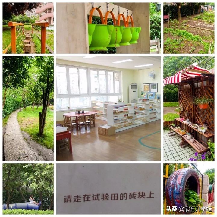 12月份可以去的开放日，12所幼儿园春季&秋季招生全都有