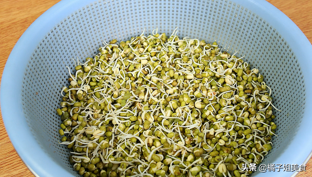 生豆芽怎么生（九步教你在家就能种植脆嫩的豆芽）