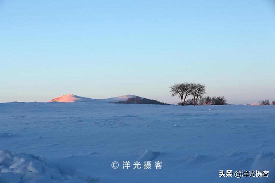 记忆里最美的冬日雪景，或许还是那片幽静美丽的白桦林