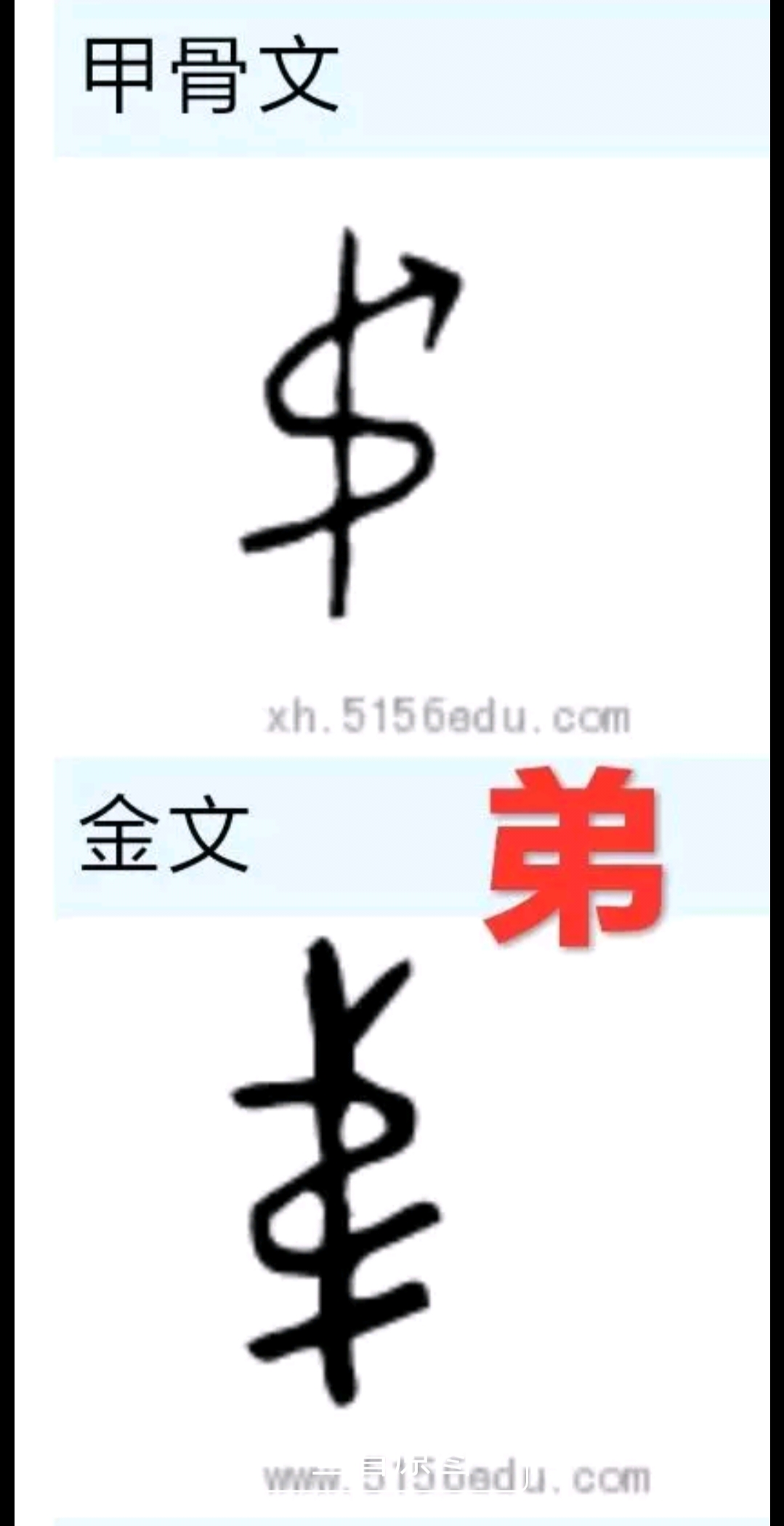 金字旁加弟是什么字（解析兄弟二字甲骨文金文象形原型）