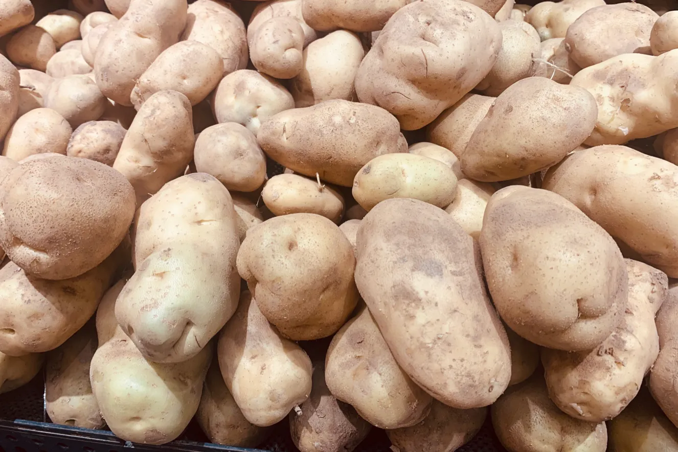 土豆保存原来这么简单，记住这5招，放半年不腐烂不变绿也不发芽