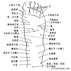 不小心崴脚了，骨折了？我来教你四个瑜伽体式避免崴脚伤到脚踝