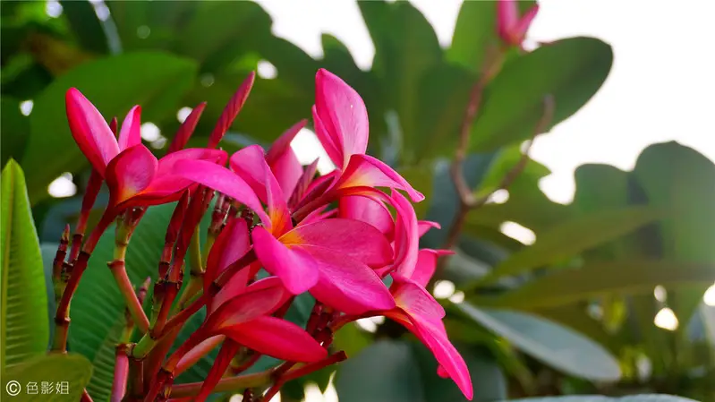 长隆欢乐世界旅游攻略景点必去（三天三夜欢乐长隆之旅）