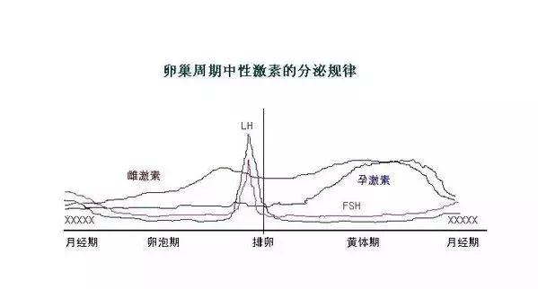 性激素六项那么贵，只是医院为了赚钱么？