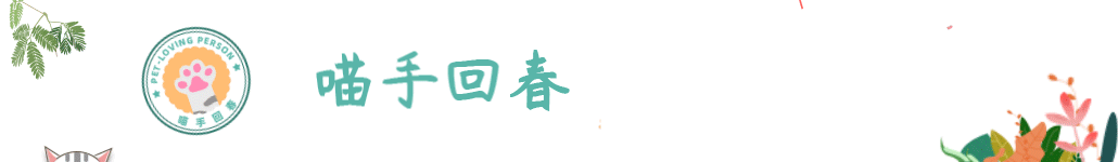 狗狗被其他狗咬伤后的紧急处理方法
