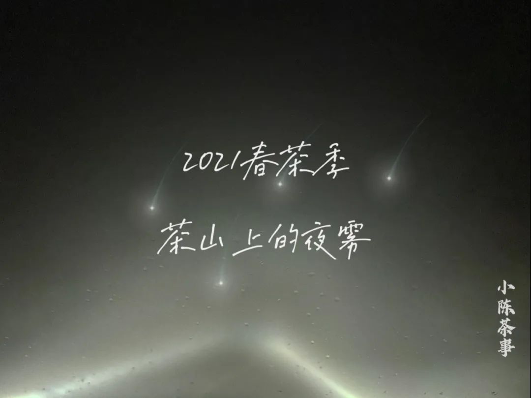 春茶季，除了白毫银针、白牡丹、春寿眉，说说太姥山的雾与露