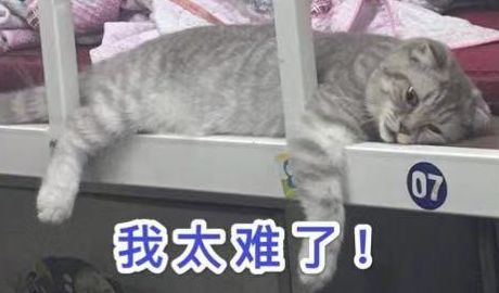 太全了！濮阳2020最新通讯录！人手一份，一定用得上