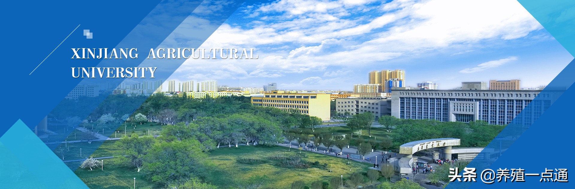 沙尔山别克・阿不地力大（哈萨克族），新疆农业大学教授、博导