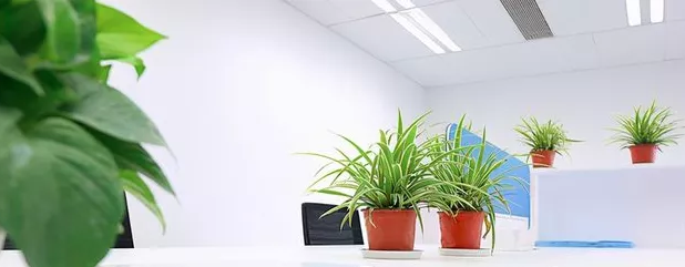 测试甲醛仪器多少钱正规24