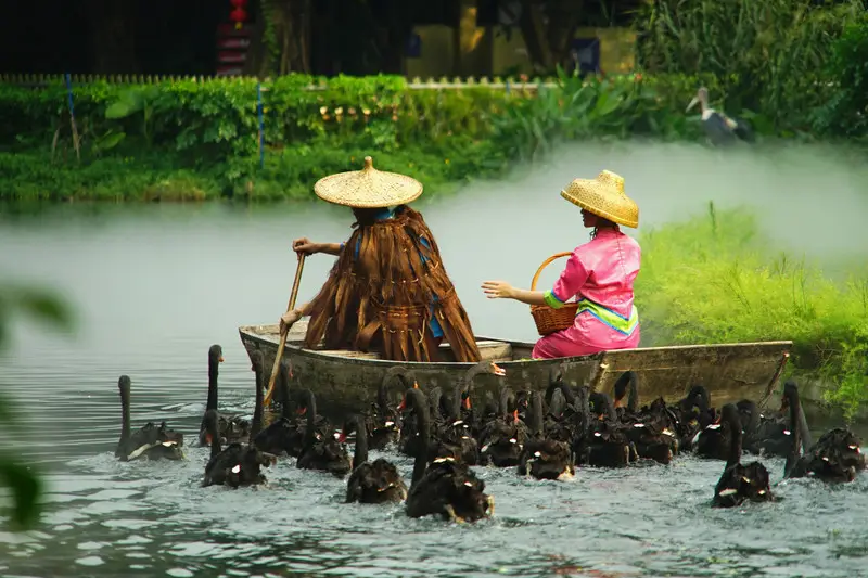 长隆欢乐世界旅游攻略景点必去（三天三夜欢乐长隆之旅）
