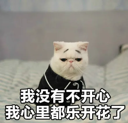 在世界排名TOP50的昆士兰大学读书是一种怎样的体验？